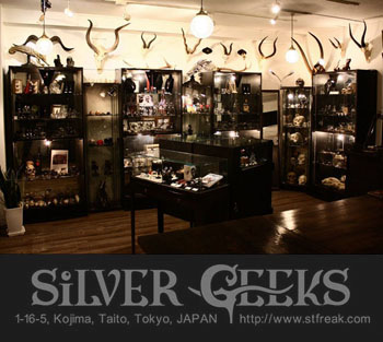 SILVER GEEKS