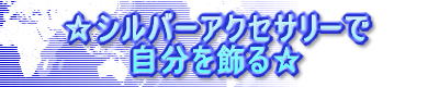 ="���V���o�[�A�N�Z�T���[�Ŏ��������遙